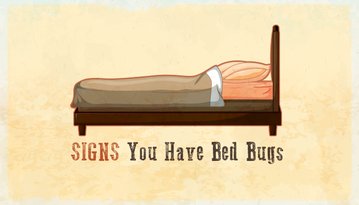 signs of bed bugs